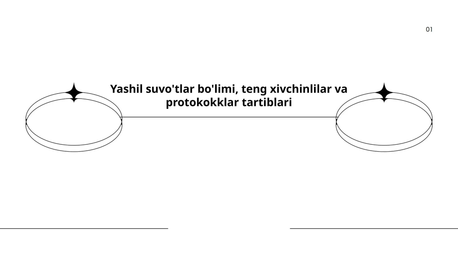 Yashil suvo'tlar bo'limi, teng xivchinlilar va protokokklar tartiblari