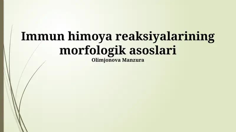 Limfoid to'qimalarning morfologiyasi