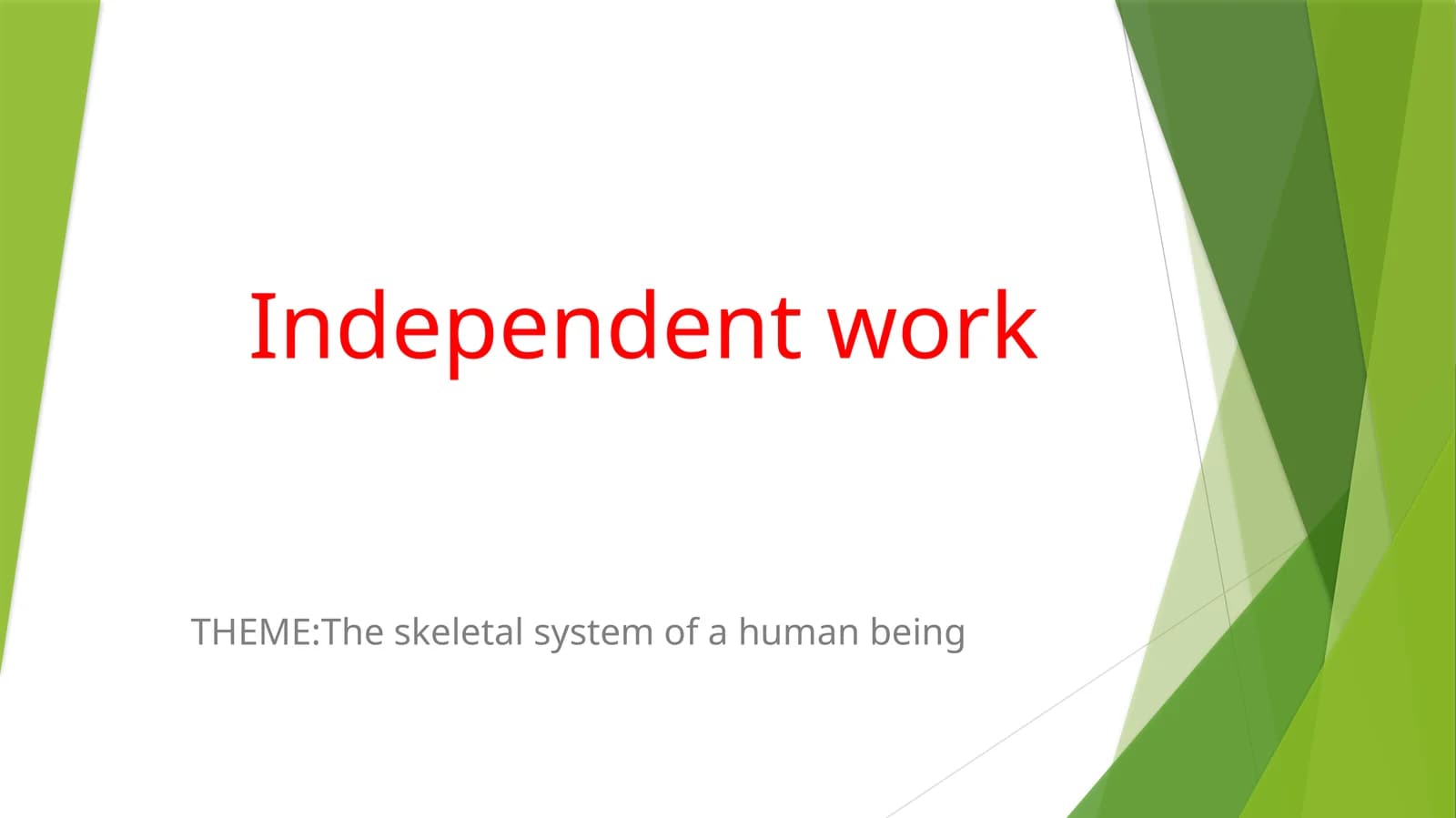 The skeletal system of a human being