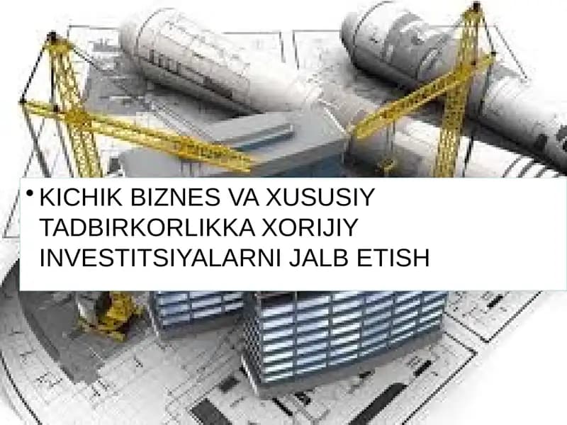 Kichik biznes va xususiy tadbirkorlikka xorijiy investitsiyalarni jalb etish