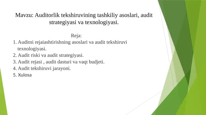 Auditorlik tekshiruvining tashkiliy asoslari, audit strategiyasi va texnologiyasi