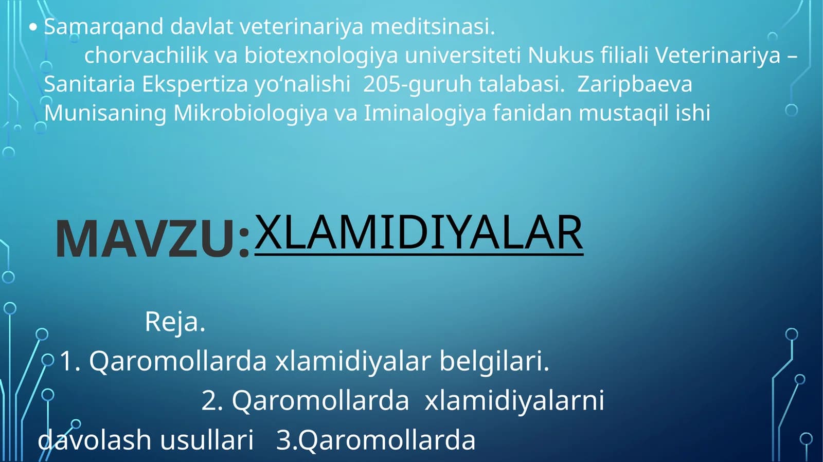 Qoramoldagi xlamidiya