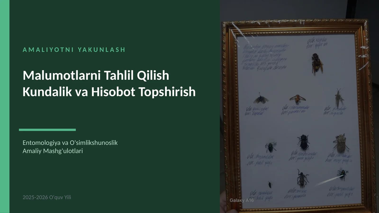 AMALIYOTNI YAKUNLASH