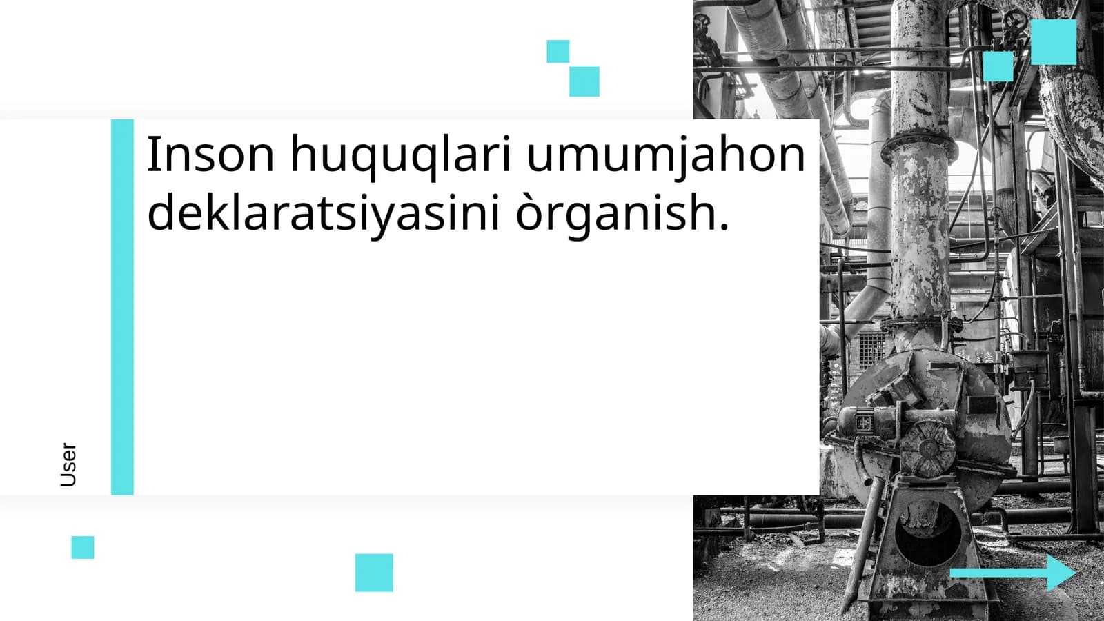 Inson huquqlari umumjahon deklaratsiyasini òrganish