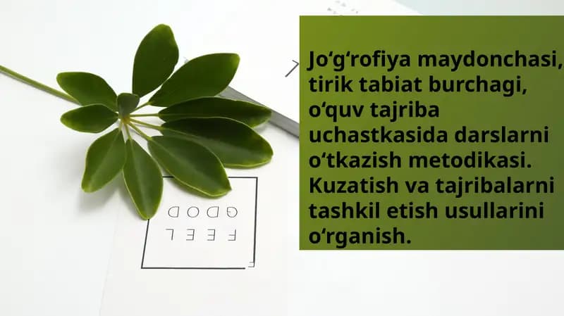 Jo‘g‘rofiya maydonchasi, tirik tabiat burchagi, o‘quv tajriba uchastkasida darslarni o‘tkazish metodikasi. Kuzatish va tajribalarni tashkil etish usullarini o‘rganish