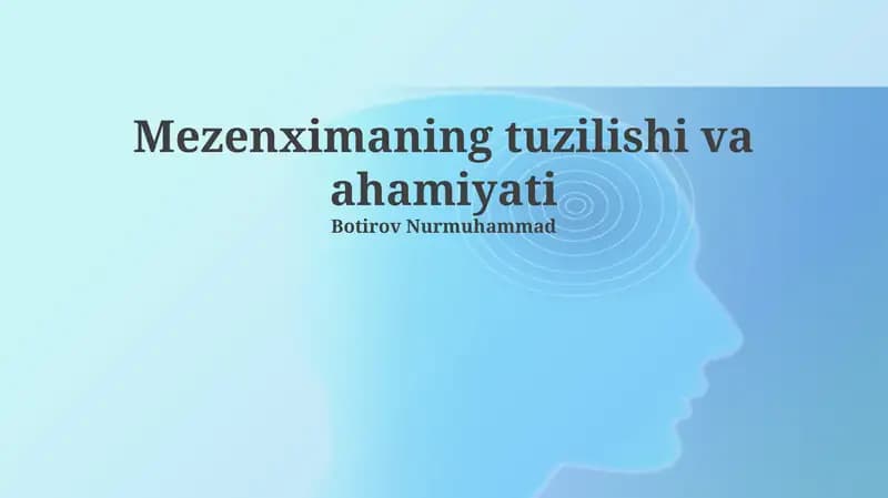 Mezenximaning tuzilishi va ahamiyati