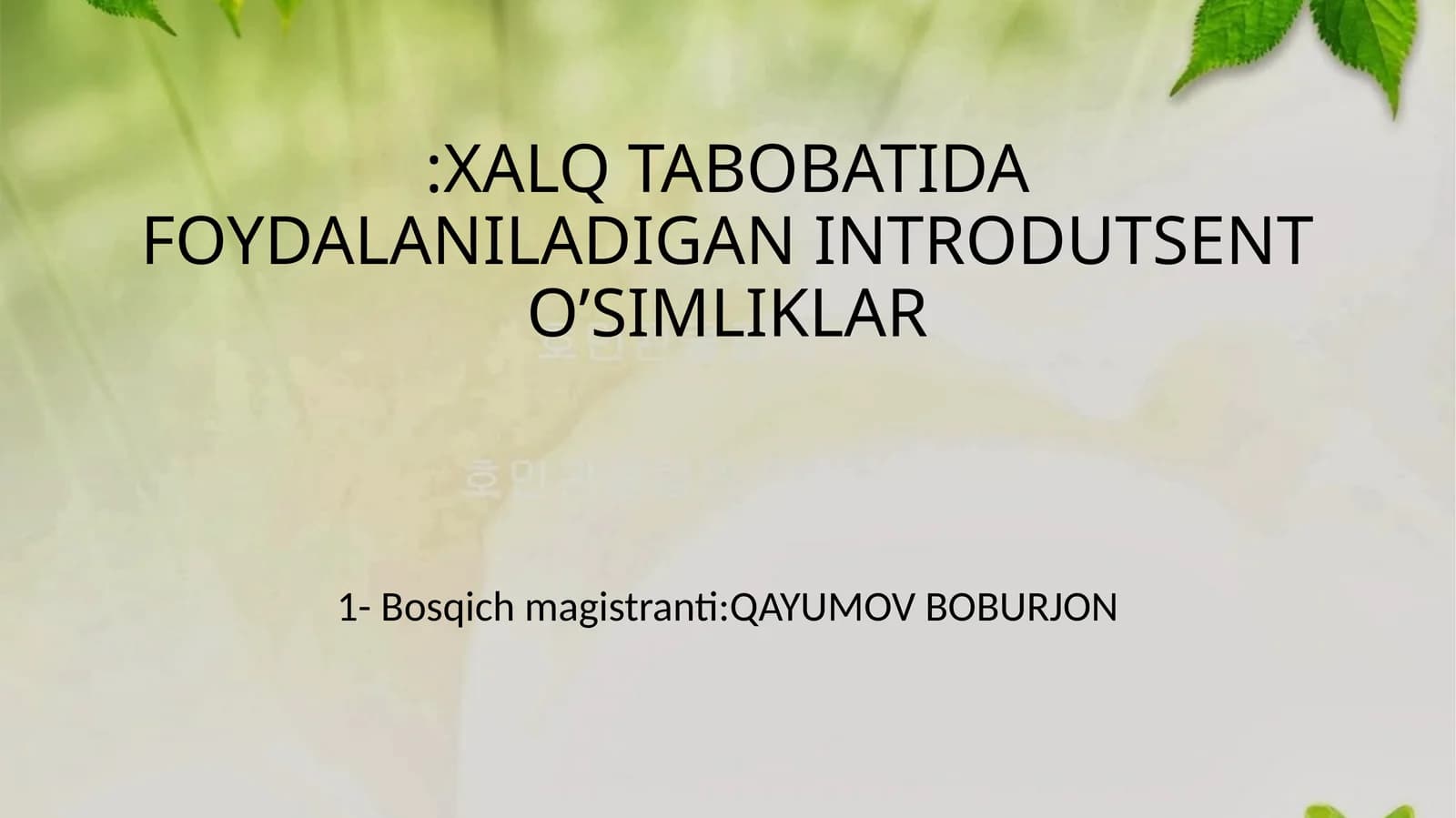 INTRODUTSENT O’SIMLIKLAR