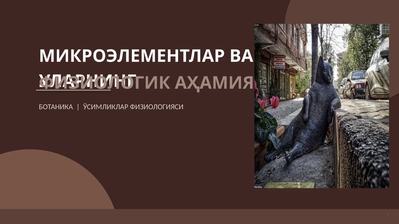 МИКРОЭЛЕМЕНТЛАР ВА УЛАРНИНГ ФИЗИОЛОГИК АҲАМИЯТИ