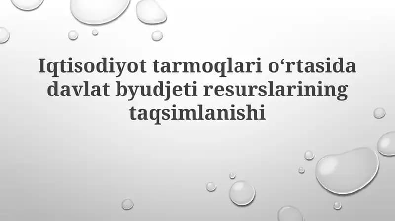 Iqtisodiyottarmoqlarioʻrtasida davlat byudjeti resurslarining taqsimlanishi