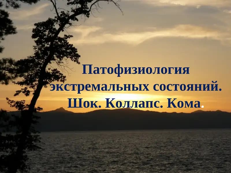 Экстремальные состояния. Шок. Коллапс. Кома