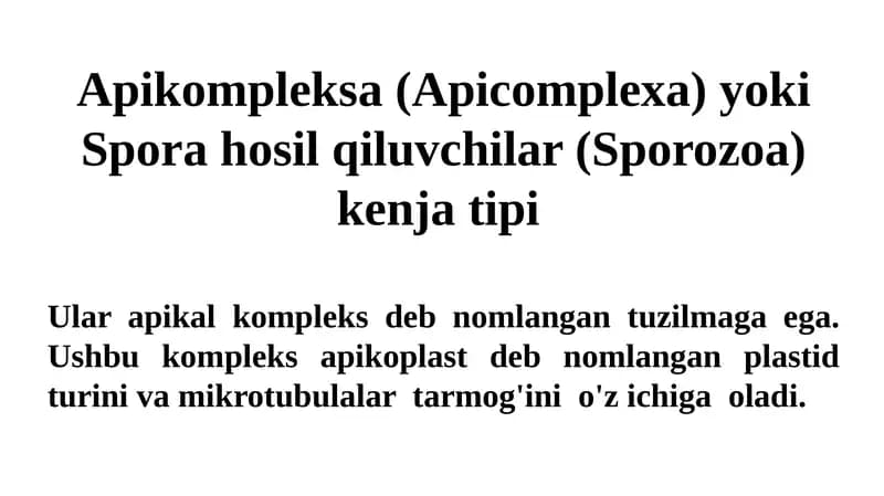 Apikompleksa (Apicomplexa) yoki Spora hosil qiluvchilar (Sporozoa)