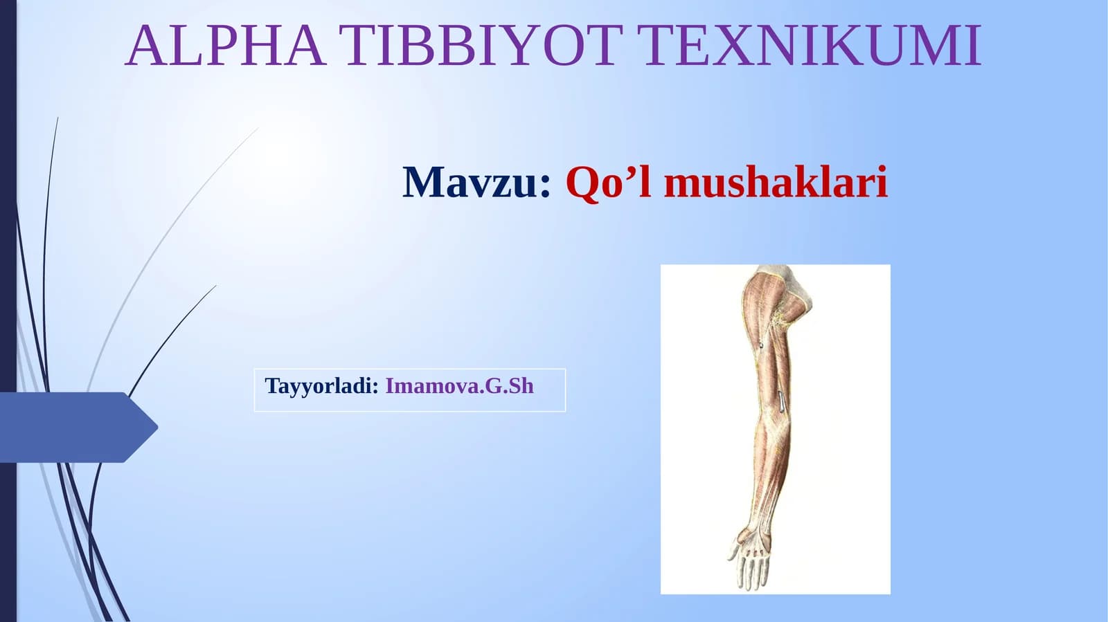 YELKA KAMARI MUSHAKLARI