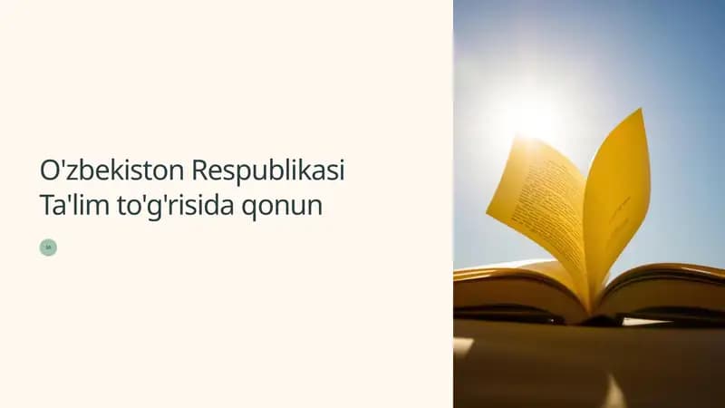 O'zbekiston Respublikasi Ta'lim to'g'risida qonun