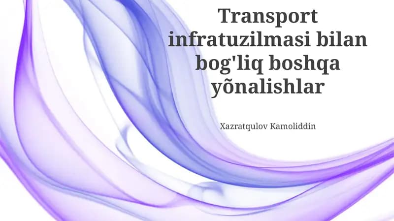 Transport infratuzilmasi bilan bog'liq boshqa yõnalishlar