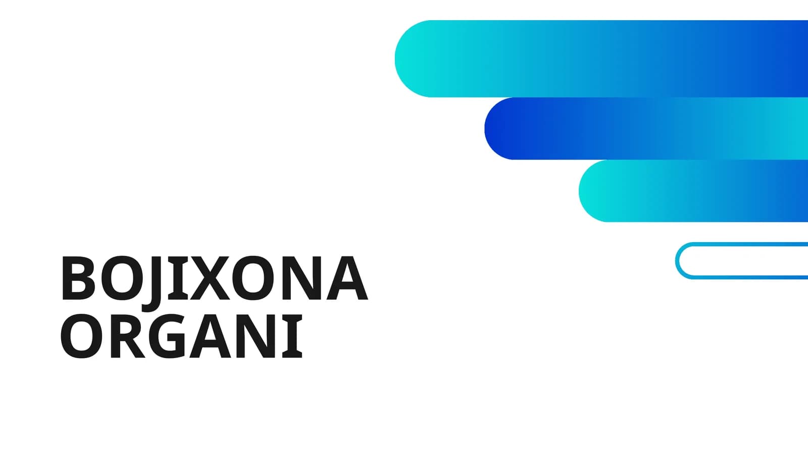 BOJIXONA ORGANI