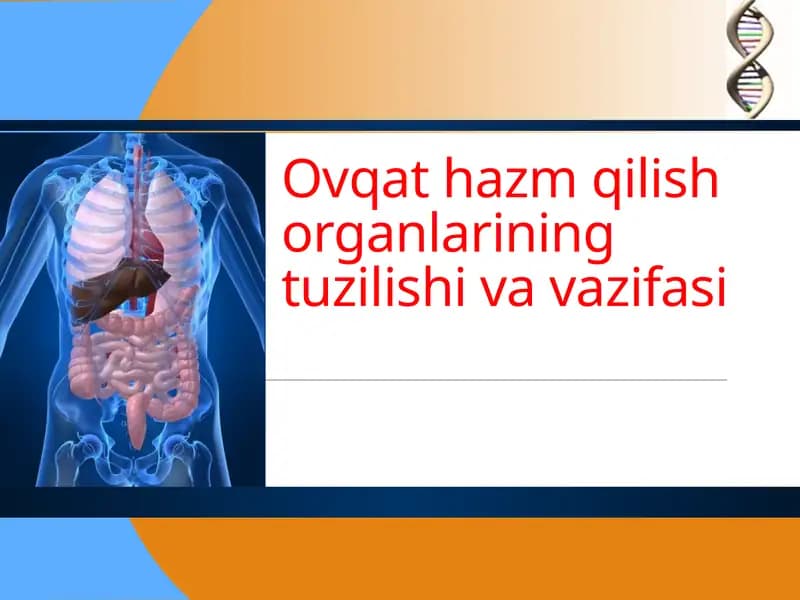 Ovqat hazm qilish organlarining tuzilishi va vazifasi