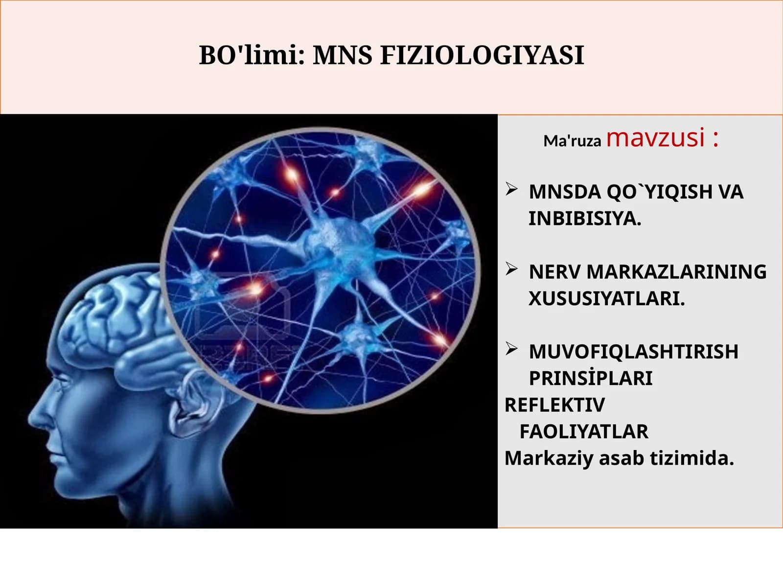 MNSDA QO`YIQISH VA INBIBISIYA. NERV MARKAZLARINING XUSUSIYATLARI. MUVOFIQLASHTIRISH PRINSİPLARI REFLEKTIV FAOLIYATLAR