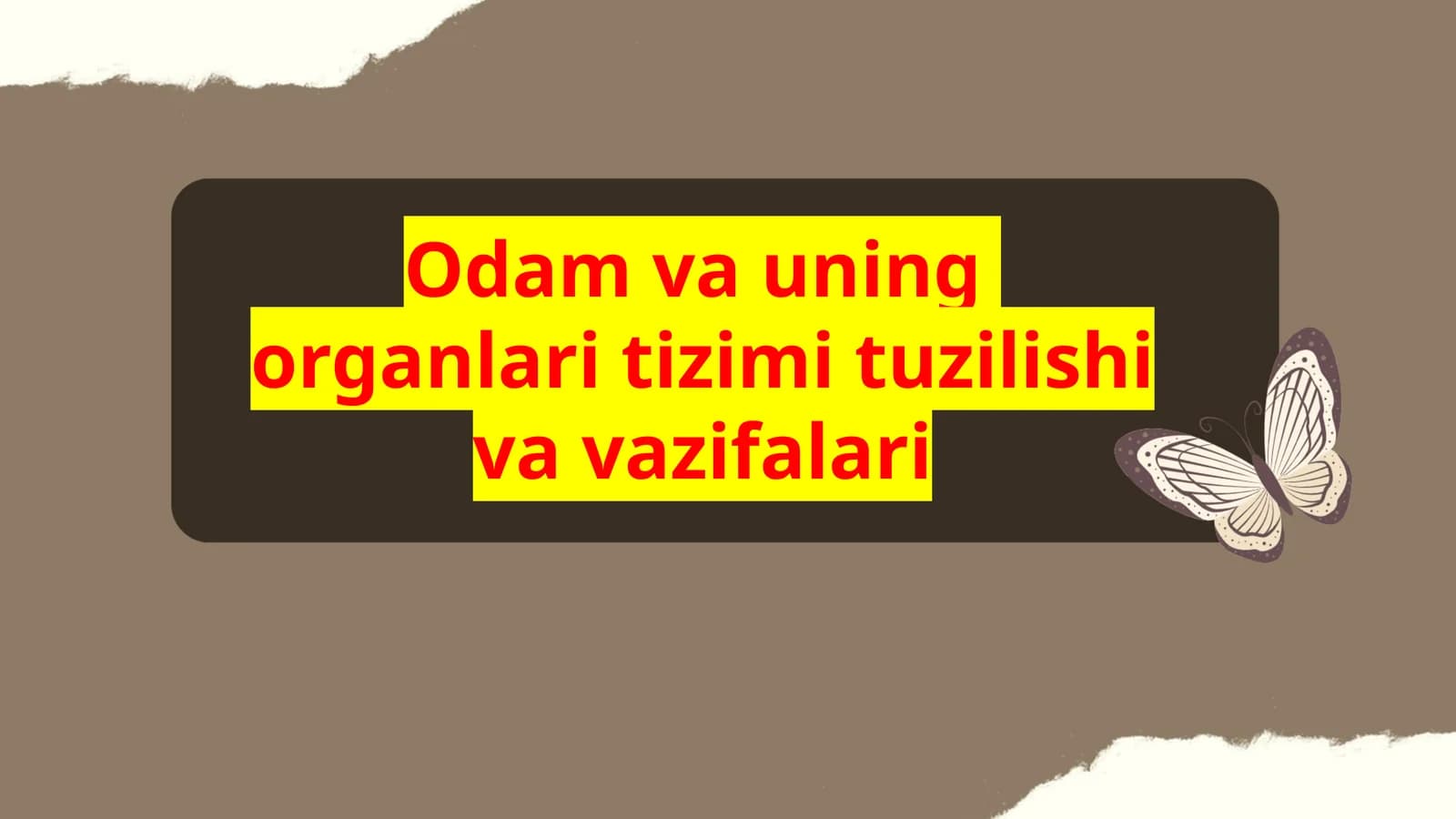 Odam va uning  organlari tizimi tuzilishi va vazifalari