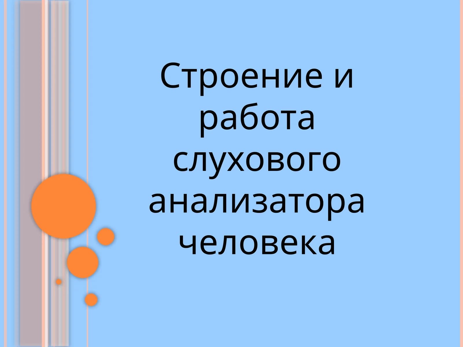 Строение и работа слухового анализатора человека