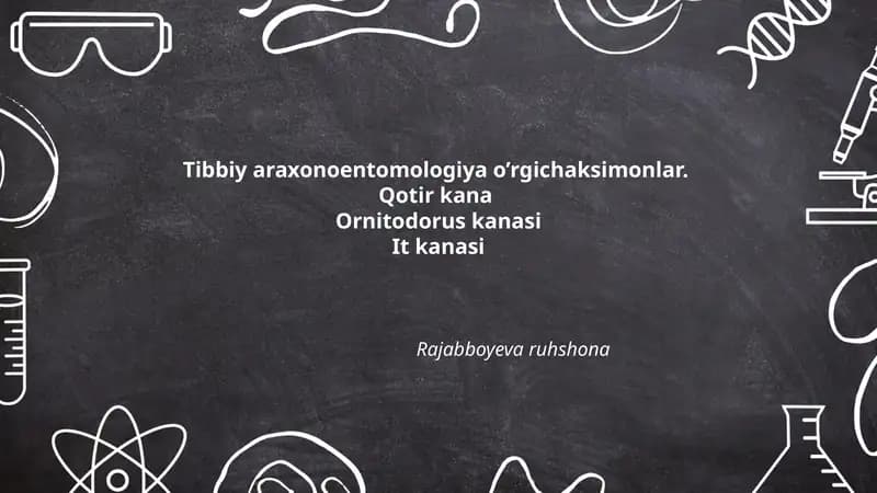 Qotir kana