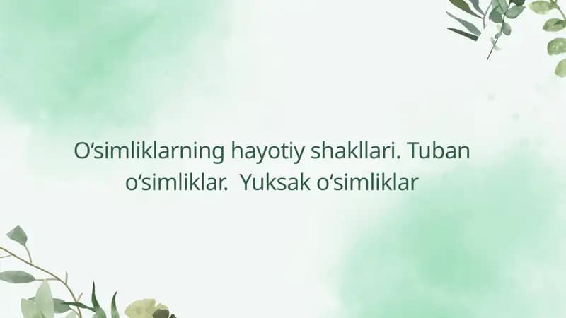 oʻsimliklar
