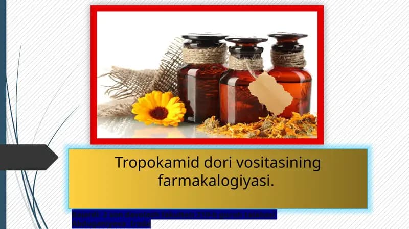 Tropokamid dori vositasining farmakalogiyasi