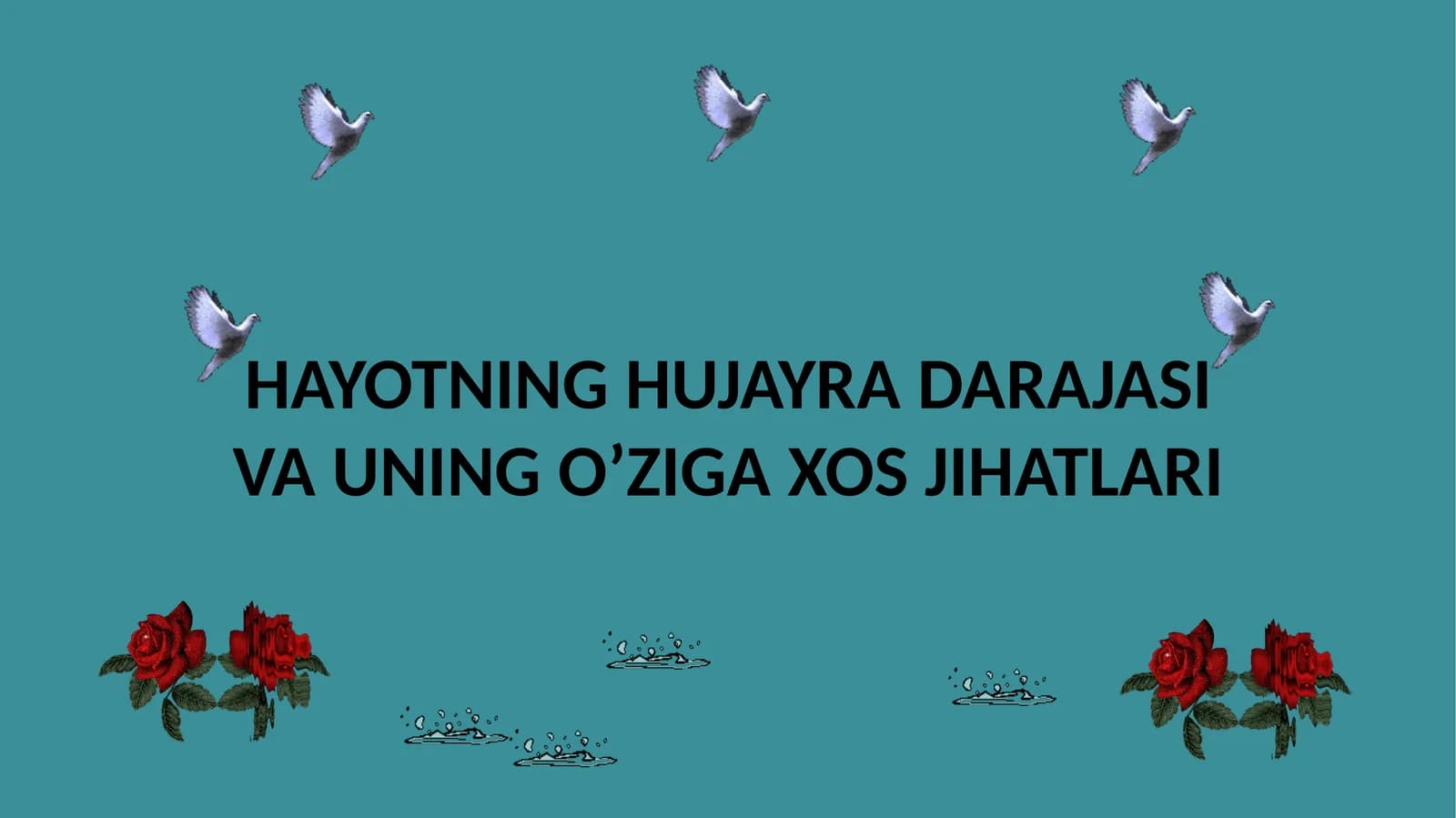 HAYOTNING HUJAYRADARAJASIVA UNINGO’ZIGAXOS JIHATLARI