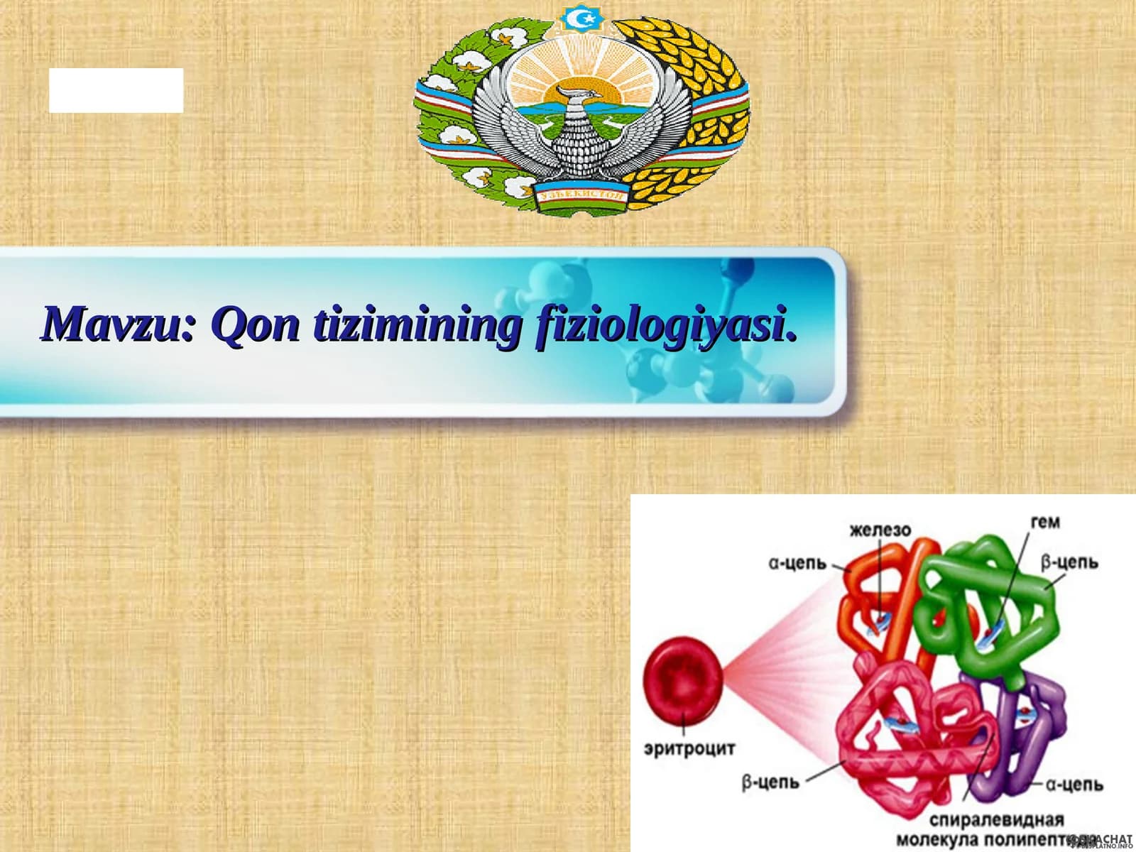 Qon tizimining fiziologiyasi