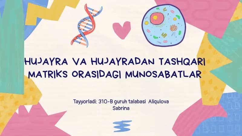 HUJAYRA VA HUJAYRADAN TASHQARI MATRIKS ORASIDAGI MUNOSABATLAR