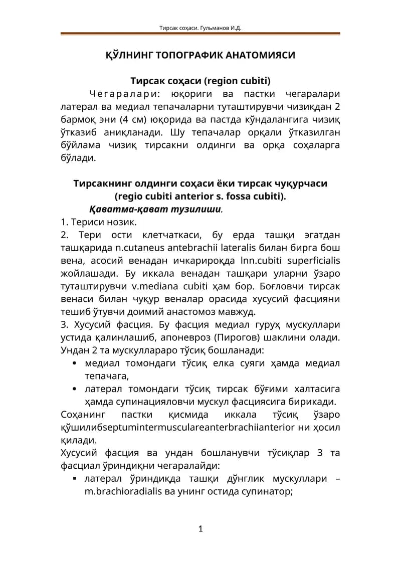 ҚЎЛНИНГ ТОПОГРАФИК АНАТОМИЯСИ