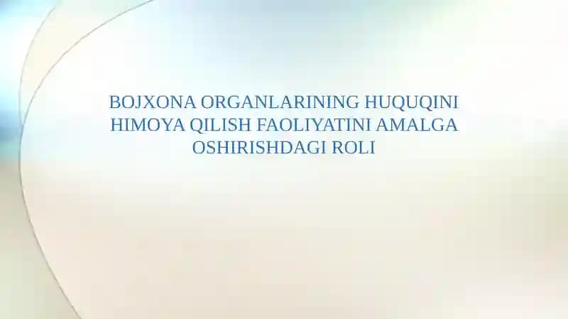 BOJXONA ORGANLARINING HUQUQINI HIMOYA QILISH FAOLIYATINI AMALGA OSHIRISHDAGI ROLI