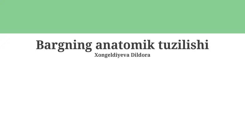 Bargning anatomik tuzilishi