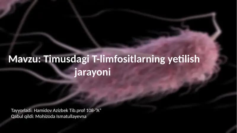 Timusdagi T-limfositlarning yetilishi jarayoni
