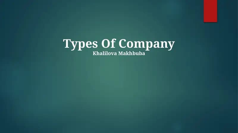 Types Of Company