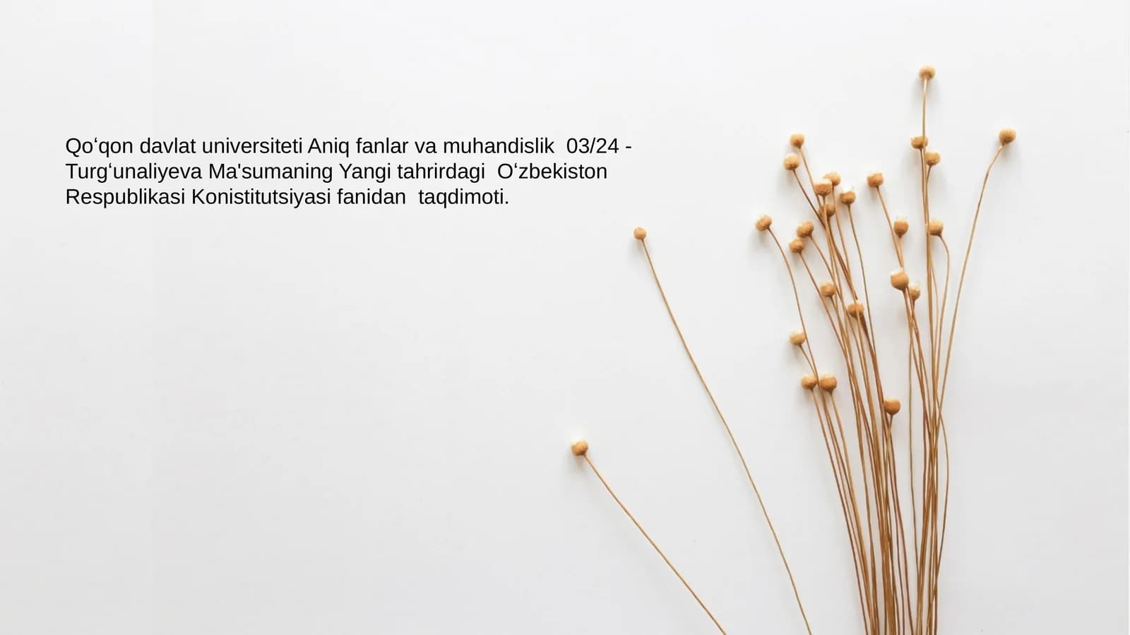 Yangi tahrirdagi Oʻzbekiston Respublikasi Konistitutsiyasi fanidan taqdimoti