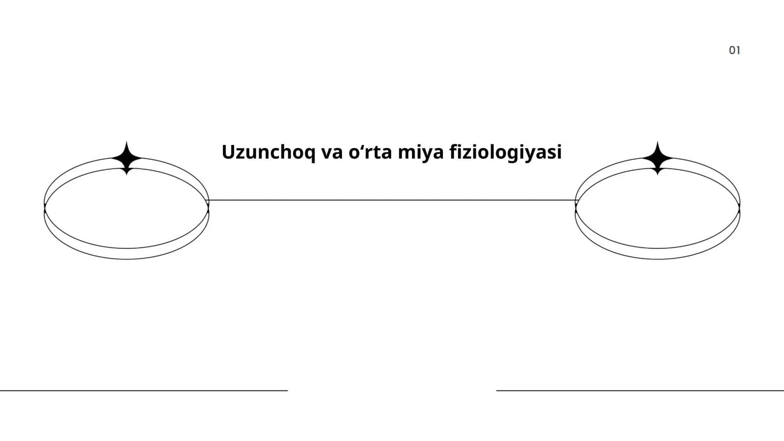 Uzunchoq va oʻrta miya fiziologiyasi