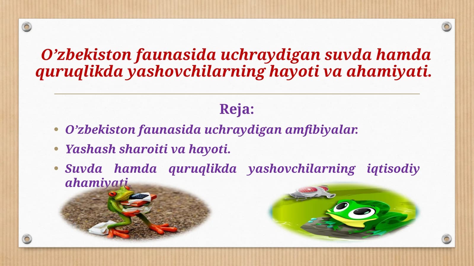 O’zbekiston faunasida uchraydigan amfibiyalar