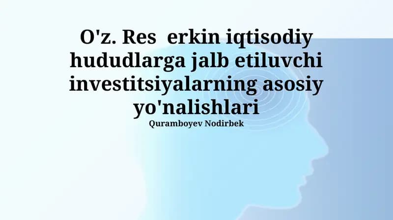 Investitsiyalarning asosiy yo'nalishlari