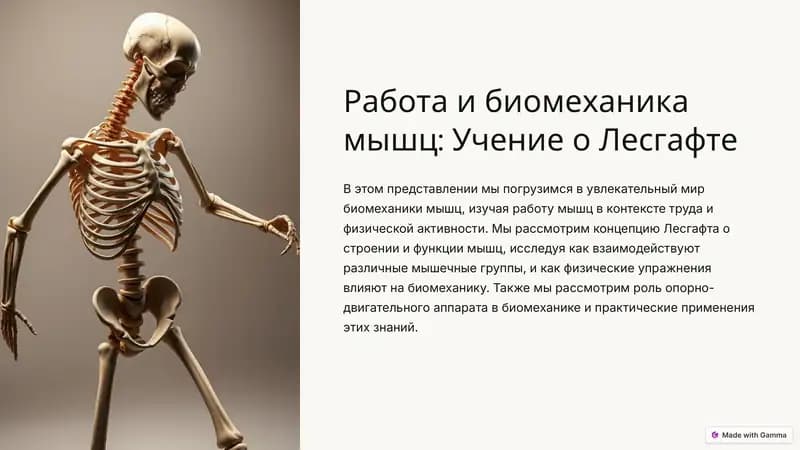 Иш ва касалларнинг биомеханикаси: Лесгафт таълими