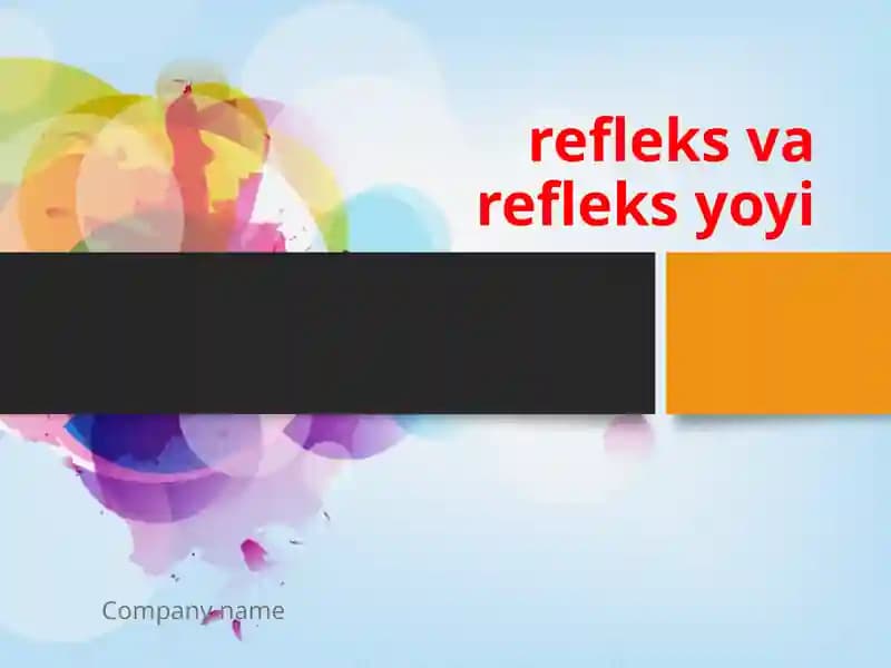 Refleks va refleksyoyi