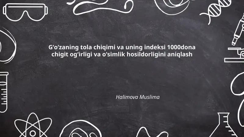 Gʻoʻzaning tola chiqimi va uning indeksi 1000dona chigit ogʻirligi va oʻsimlik hosildorligini aniqlash