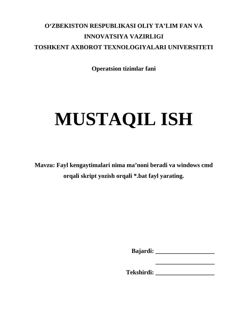 Fayl kengaytmalari