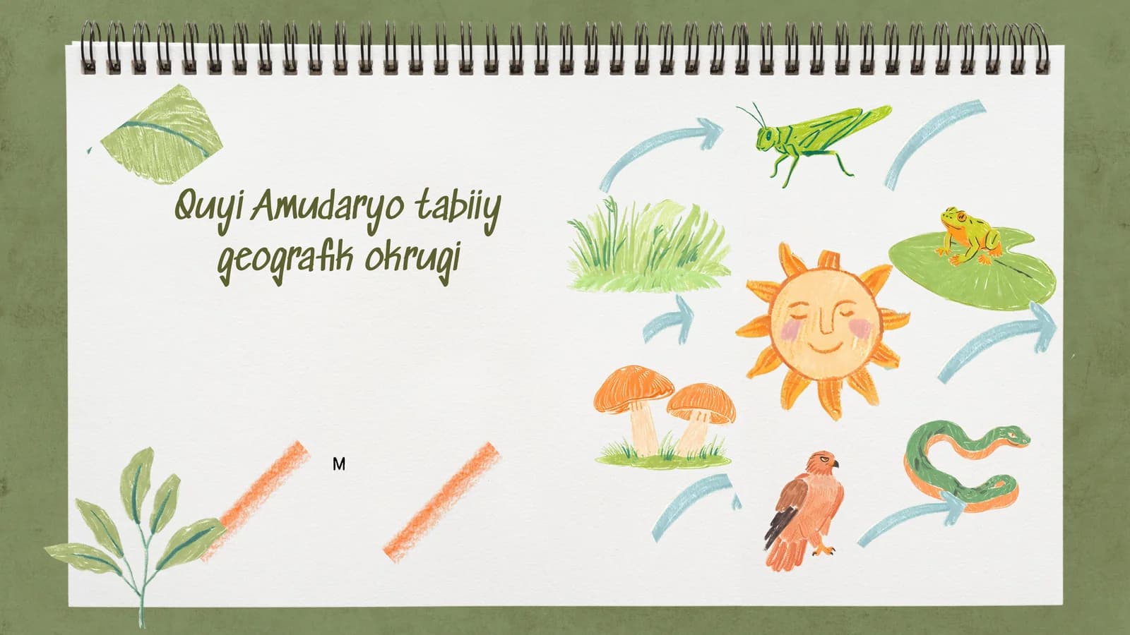Quyi Amudaryo tabiiy geografik okrugi
