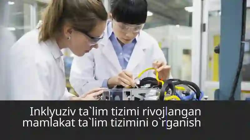 Inklyuziv ta`lim tizimi rivojlangan mamlakat ta`lim tizimini o`rganish