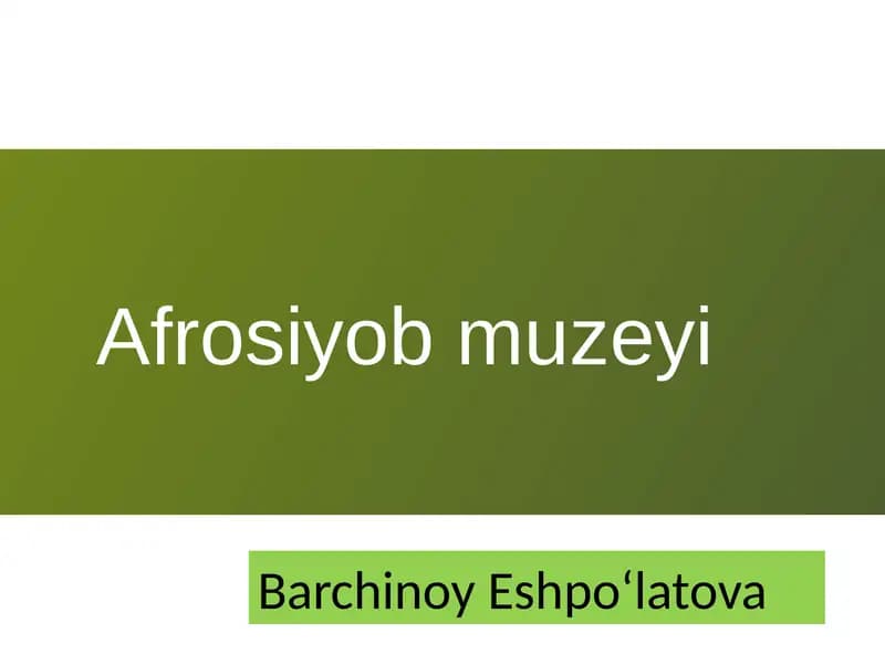 Afrosiyob Muzeyi