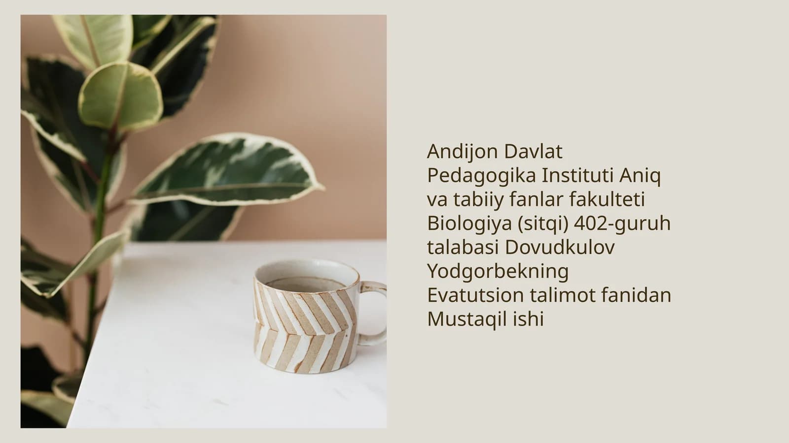 Hayotning paydo bolishi mohiyati va farazlar munozaralar