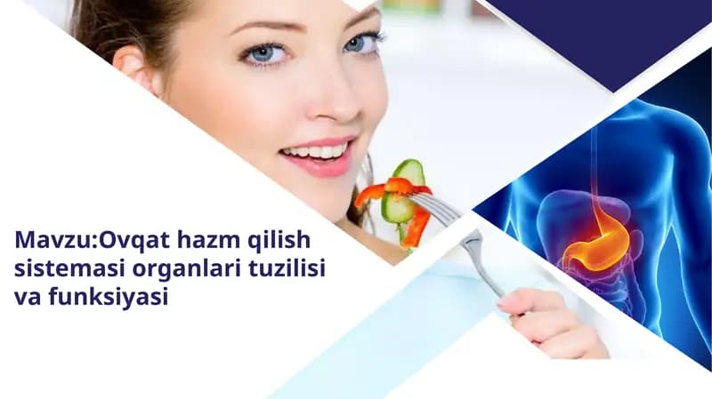 Ovqat hazm qilish sistemasi organlari tuzilishi va funksiyasi