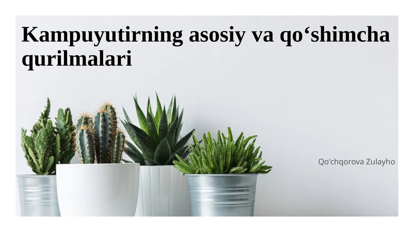 Kampuyutirning asosiy va qoʻshimcha qurilmalari
