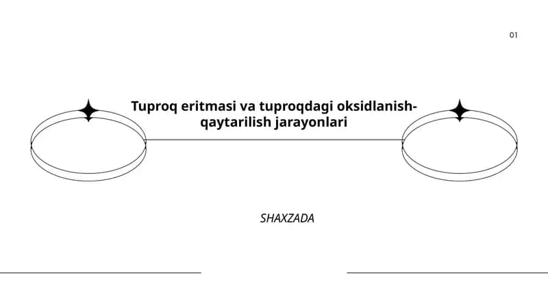 Tuproq eritmasi va tuproqdagi oksidlanish-qaytarilish jarayonlari SHAXZADA