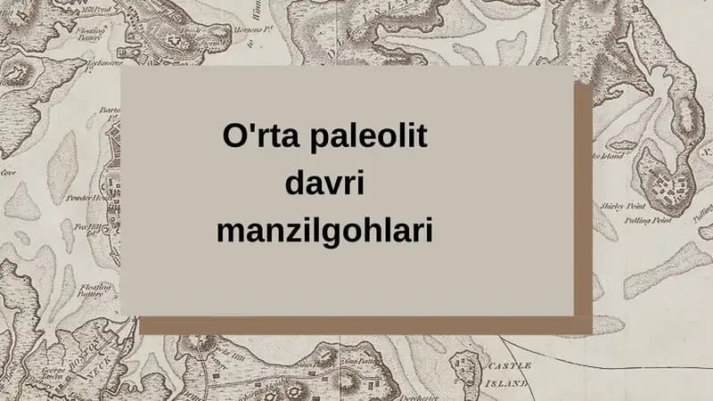 O'rta paleolit davri manzilgohlari